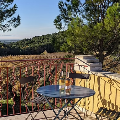 Outdoor picnic at Clos de Caveau