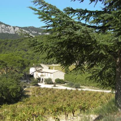 Vineyard trail at Domaine de Cassan