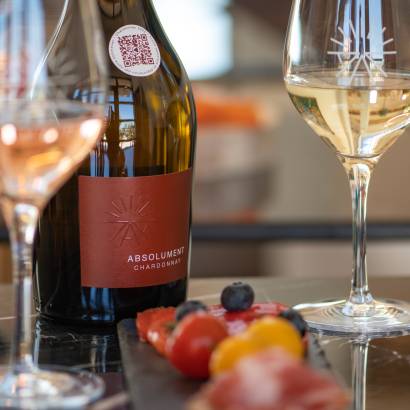 Introduction à l'Oenologie dégustation vins et planche gourmande aux Terrasses d'Adrien