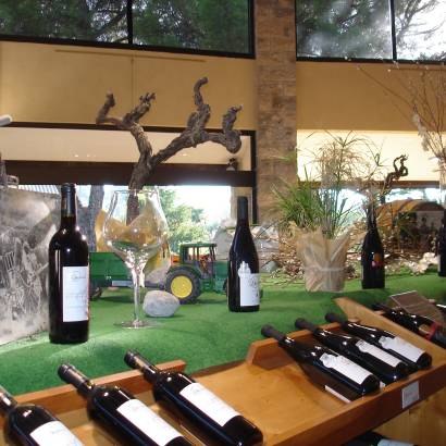 Cellar tour - Cave la Romaine