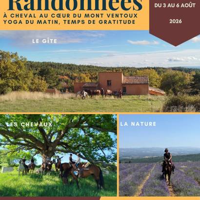 Séjours randonnées à cheval et yoga avec le Poney Rouge