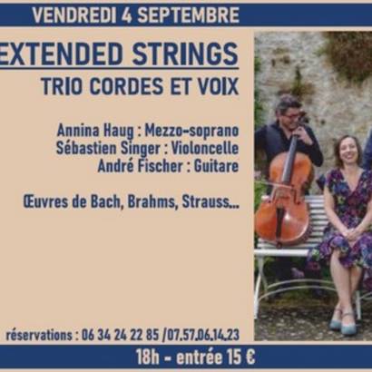 Extended Strings