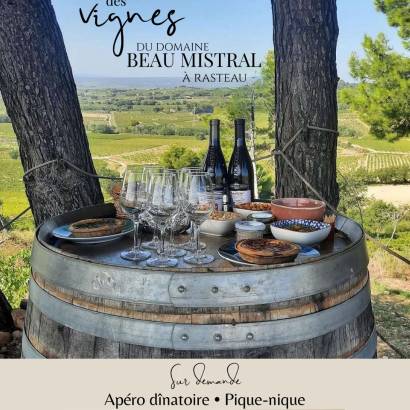 Cocktail reception amidst the vineyards - Domaine Beau Mistral