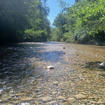 Between Roots and Currents: Recharge by the Water's Edge