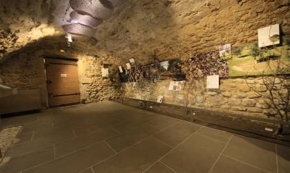 Petit musée de la truffe et du vin