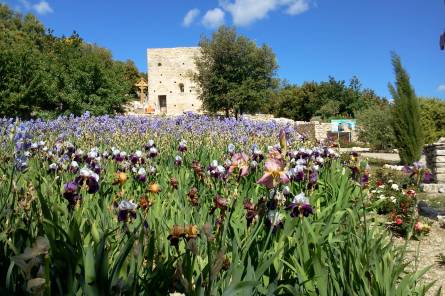 Chapelle Saint Hilaire