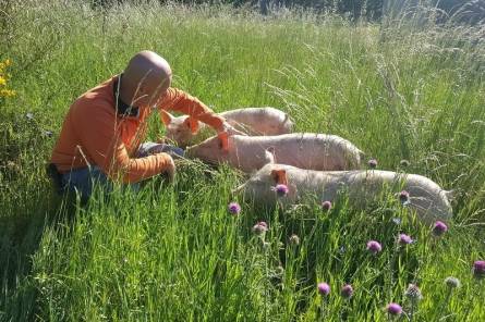 Une ferme en Ventoux