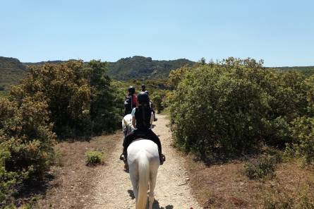 Ferme Équestre La Capeirone