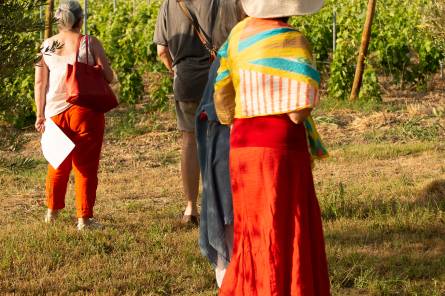 Balade pédagogique au coeur du vignoble du Domaine de Mas Caron