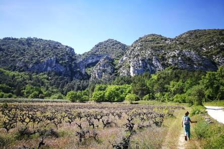 Horizons Luberon - Collectif d'accompagnateurs en Montagne