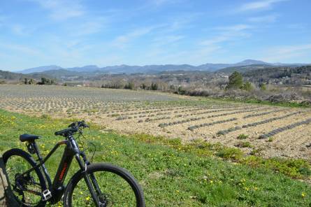 VTT n°19 - Le tour des Abbayes