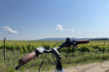 Location Vélo - Office de Tourisme de Pertuis