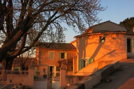 Découverte du domaine viticole Château Cohola avec Ventoux Travel Car