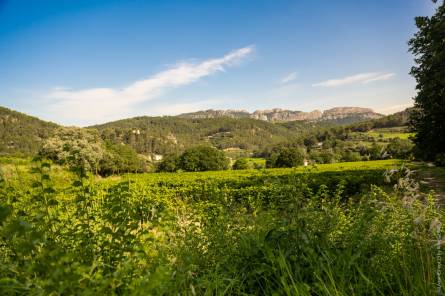 Self-guided tour in the footsteps of the Bernardins