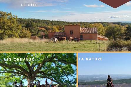 Séjours randonnées à cheval et yoga avec le Poney Rouge