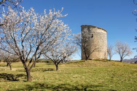 Moulin de Salignan