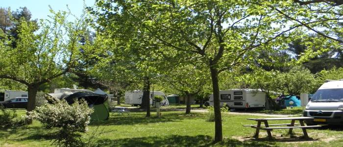 Camping Les Cèdres - Apt - Campings - Provence Guide