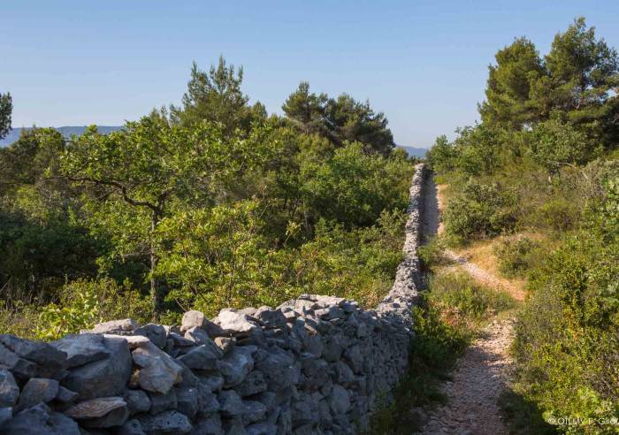 Le Mur de la Peste - Visites, monuments, Musées en Provence