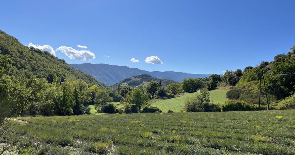 Maison de Marguerite@Michel