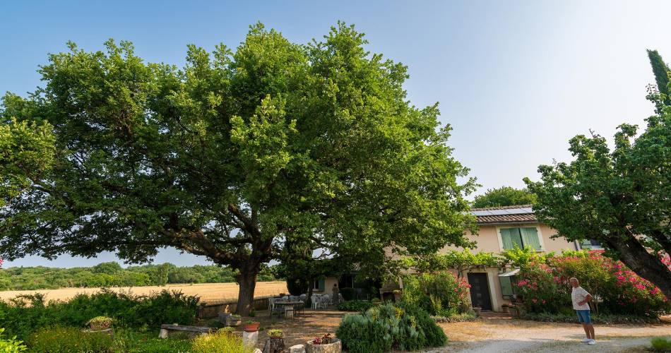 Au Vieux Chêne@Tout droits reserves 2025 Art Virtuel