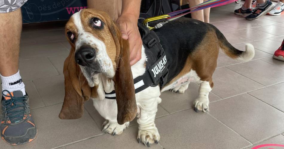 Canoeing - Aigue Vive@seb