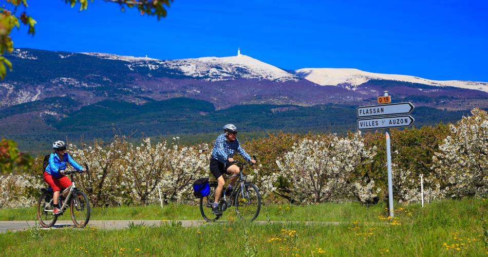 At the foot of the Mont Ventoux - Cycling -@Paul Villecourt