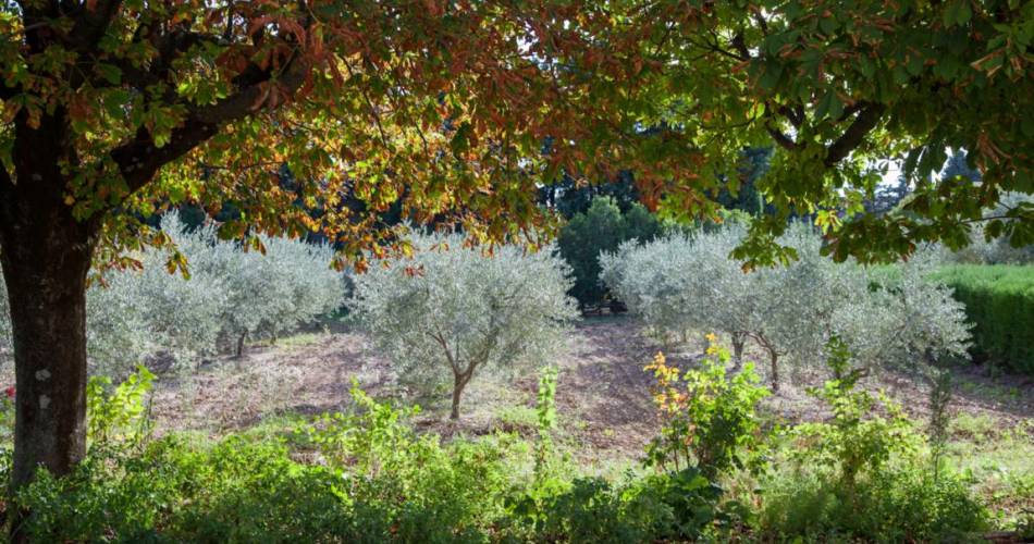 Villa les Oliviers@Fabre