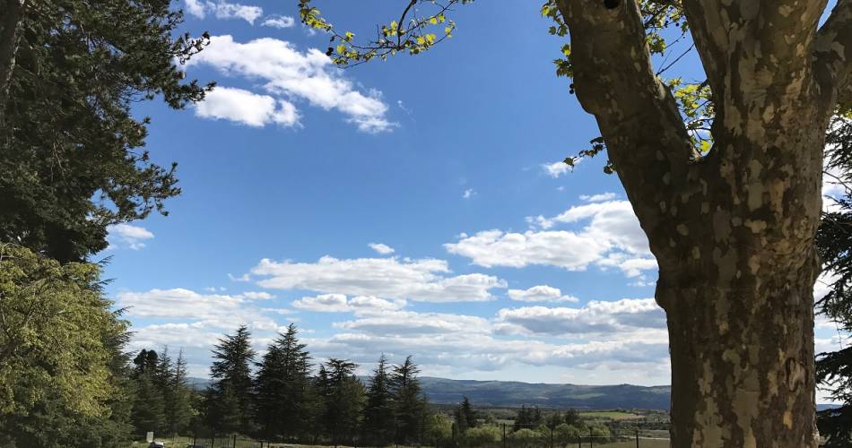 Résidence Château Ferrassières@M. Olszewski