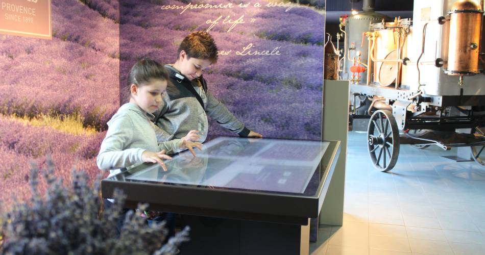 Lavender Museum@Musée de la Lavande Luberon