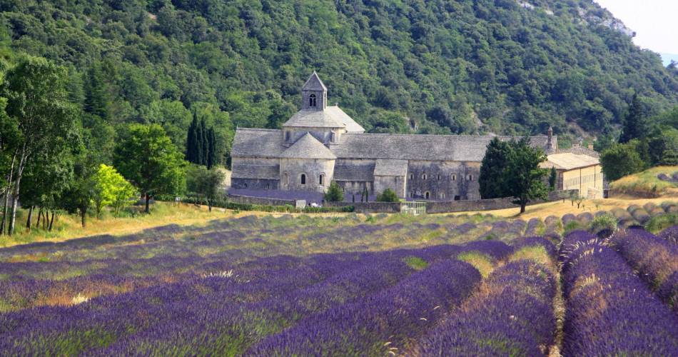 Abtei Notre-Dame de Sénanque@Droits gérés A. Hocquel / Collect ADT