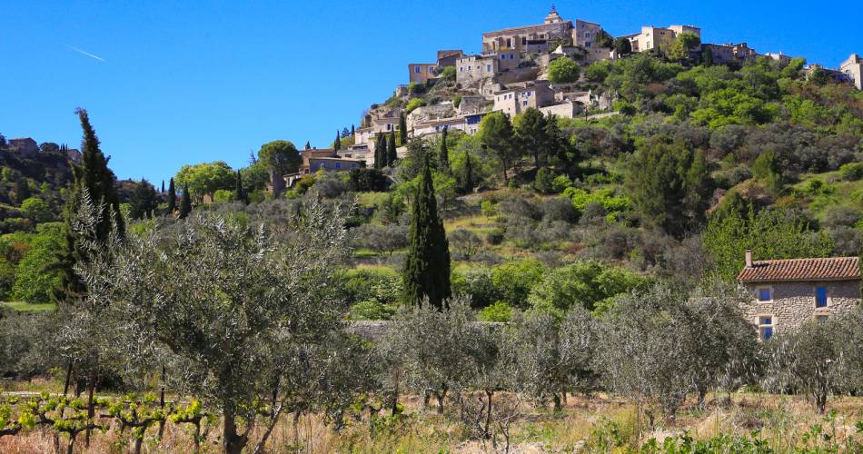 Randonnée pédestre - Les Bories et la Sénancole@HOCQUEL Alain - Vaucluse Provence