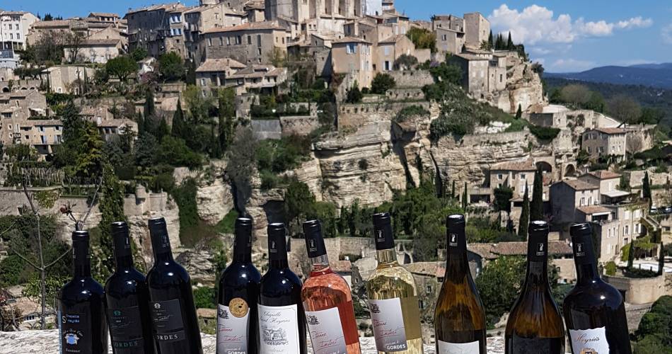 Domaine Saint Heyriès@Imbert Etienne