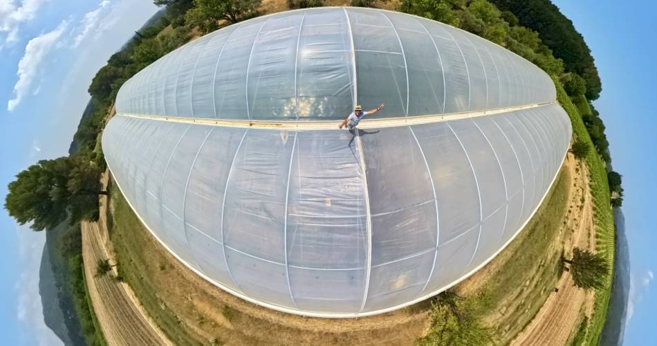 JCO Spiruline@JCO spiruline