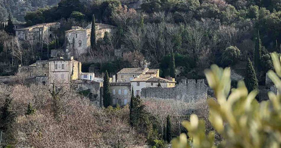 Collégiale Notre-Dame-Dalidon@©Destination Luberon