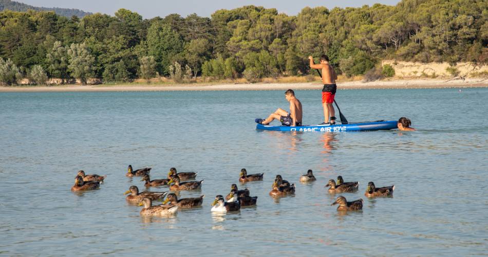 Camping de l'Étang de la Bonde@Camping Etang de La Bonde 