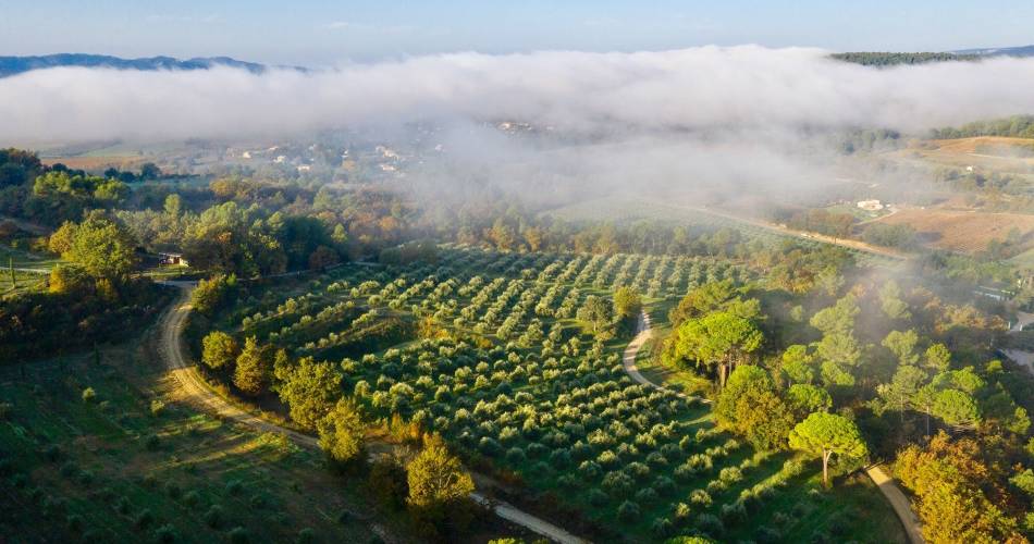 Ölmühle & Domaine Bastide du Laval@Bastide du Laval