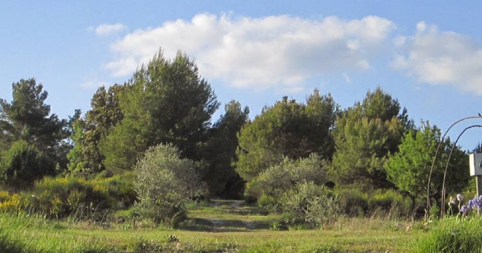 Camping auf dem Bauernhof Roumavagi@Droits gérés Netta Müller