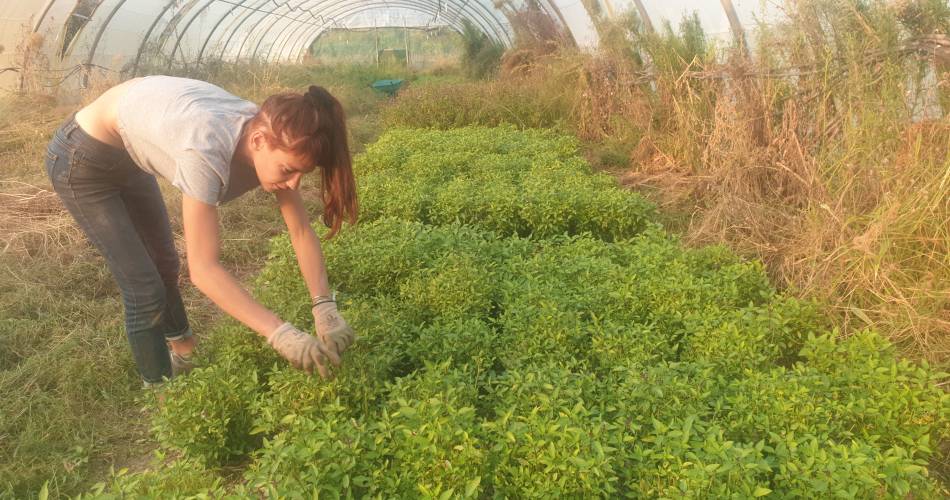 La Miellerie du Grand Luberon@La Miellerie du grand Luberon