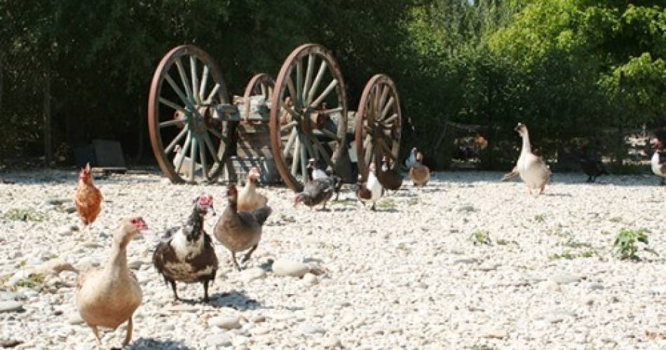 Auberge la Bastide Neuve, restaurant à Villelaure@La Bastide neuve villelaure