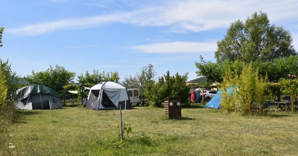 Nature Campsite at the 