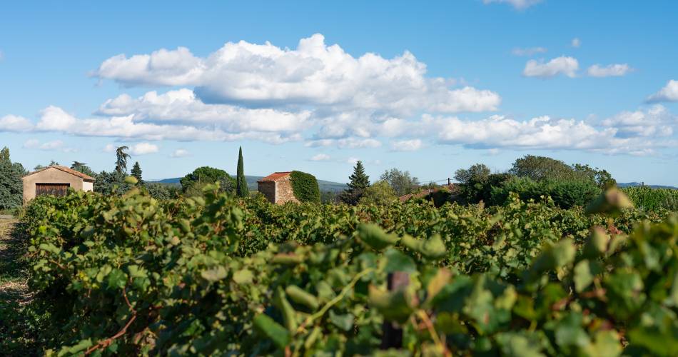 Winemakers trail in Cucuron@Luberon Sud Tourisme