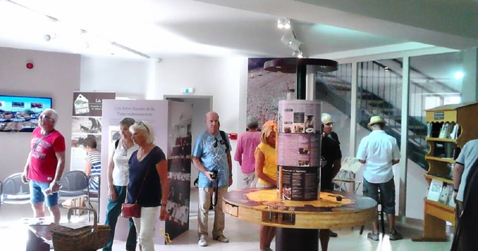 Truffelmuseum van de Ventoux@OTI Ventoux Sud