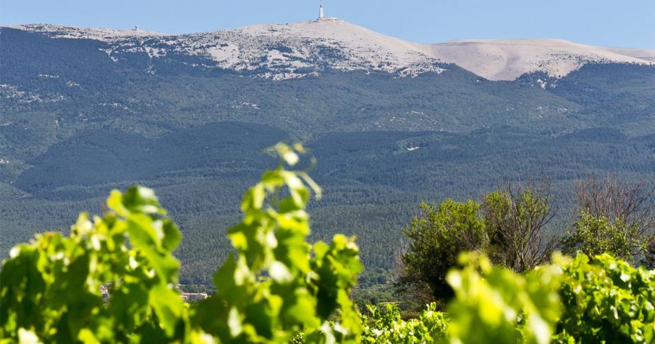 Château Pesquié@Yannick Libourel