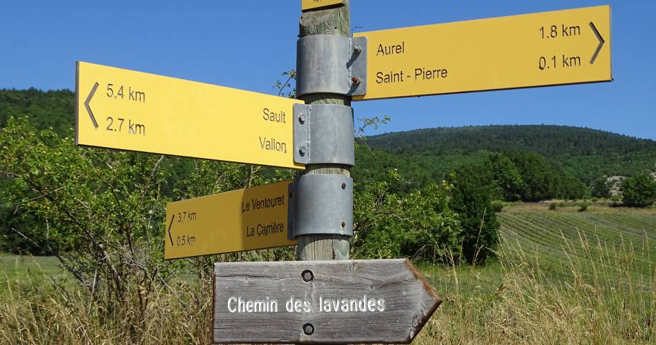 V17 Le chemin des lavandes@S.Masse