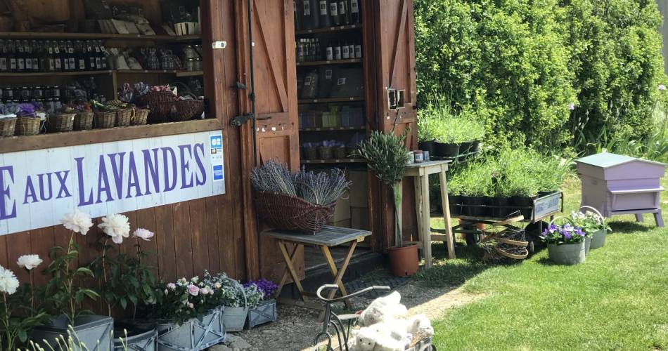 De lavendelboerderij en de bijbehorende Tuin voor Lavendelbehoud@Ferme aux lavandes