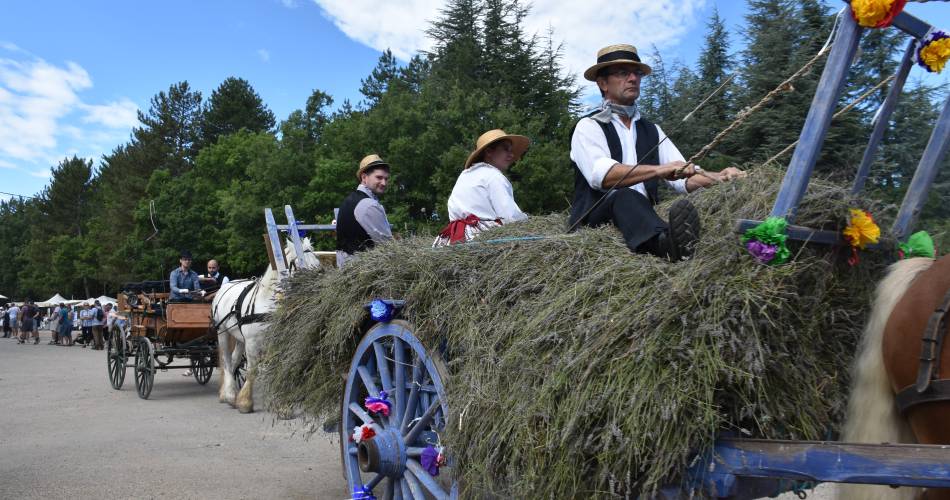 Lavender Celebration@OTI Ventoux Sud