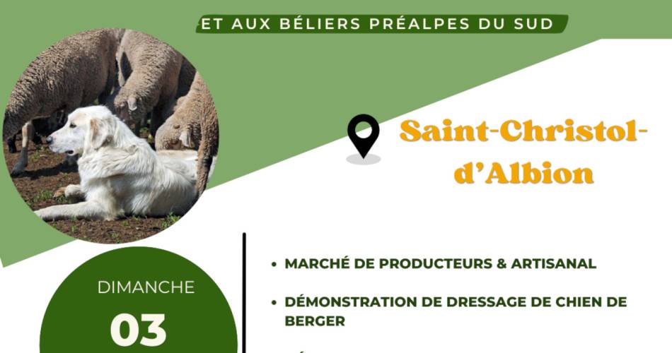 Lamb and Ram Fair and Competition@Mairie de Saint Christol