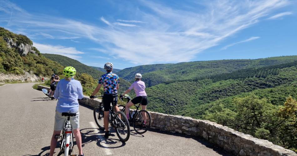 Les Gorges de la Nesque – Grüner Weg@©Parc Naturel et Régional du Mont Ventoux