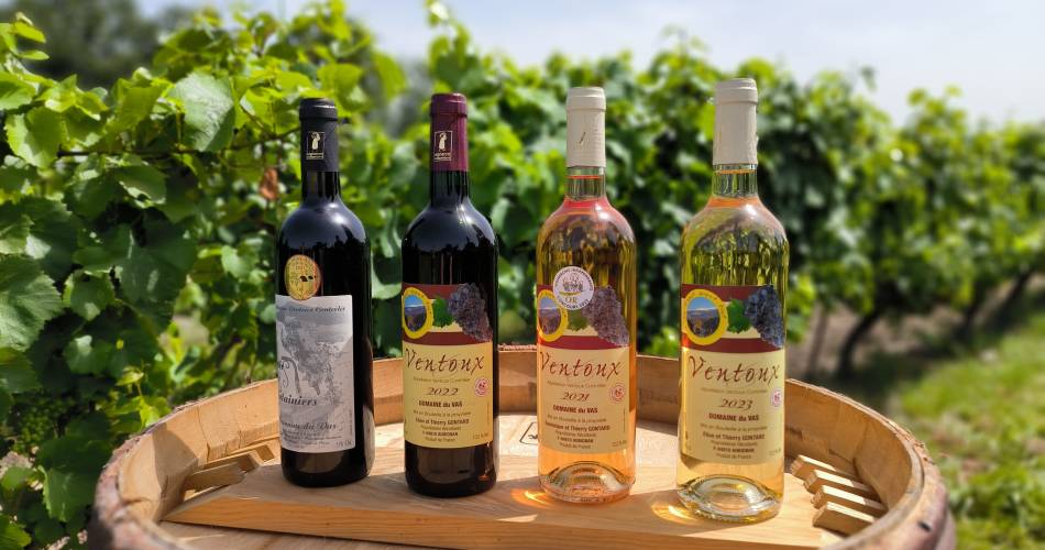 Domaine du Vas@Domaine du Vas