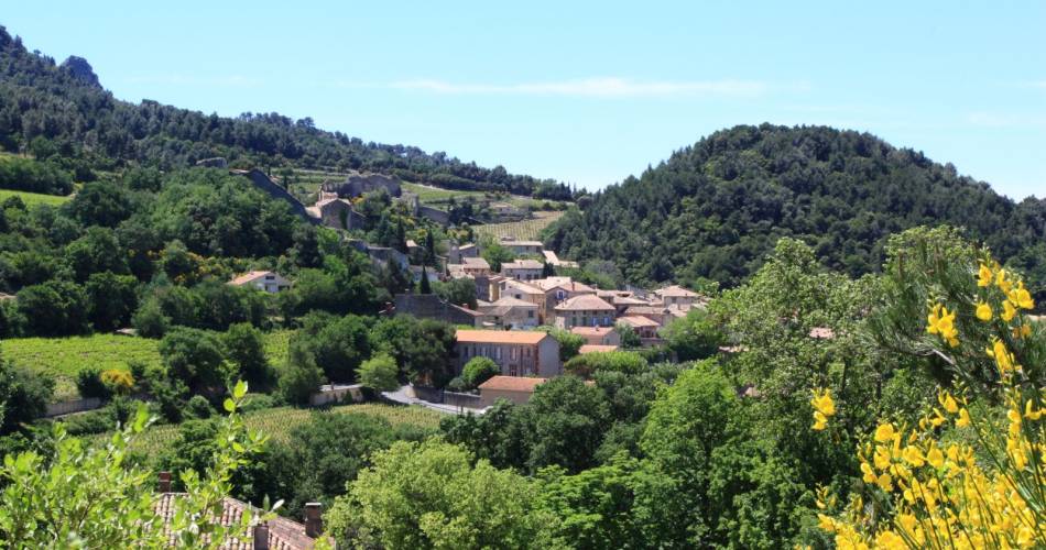 The Dentelles de Montmirail@Droits gérés A. Hocquel / Collect ADT